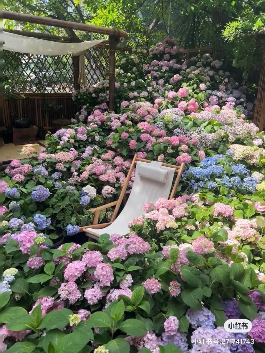 1leio's tweet image. 