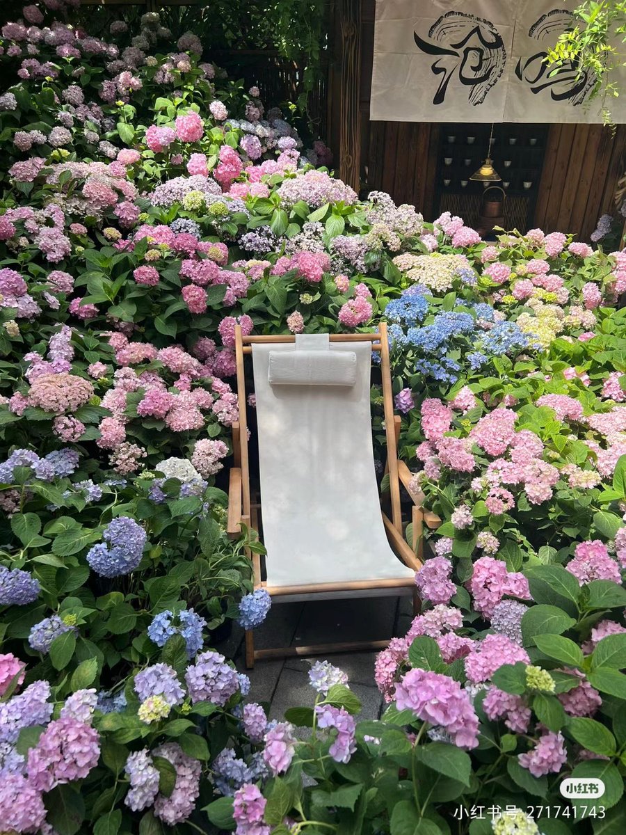 1leio's tweet image. 