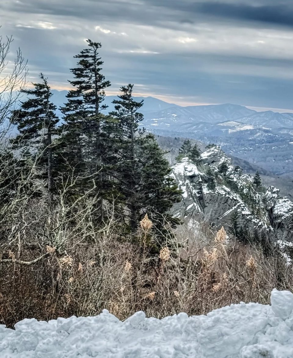 AmeliaMerica76's tweet image. Good morning from
North Carolina!