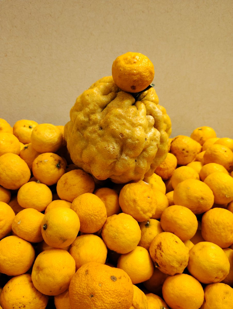 上星川満天の湯で、ゆずをゆずって風呂に入りました!!この小玉Suica