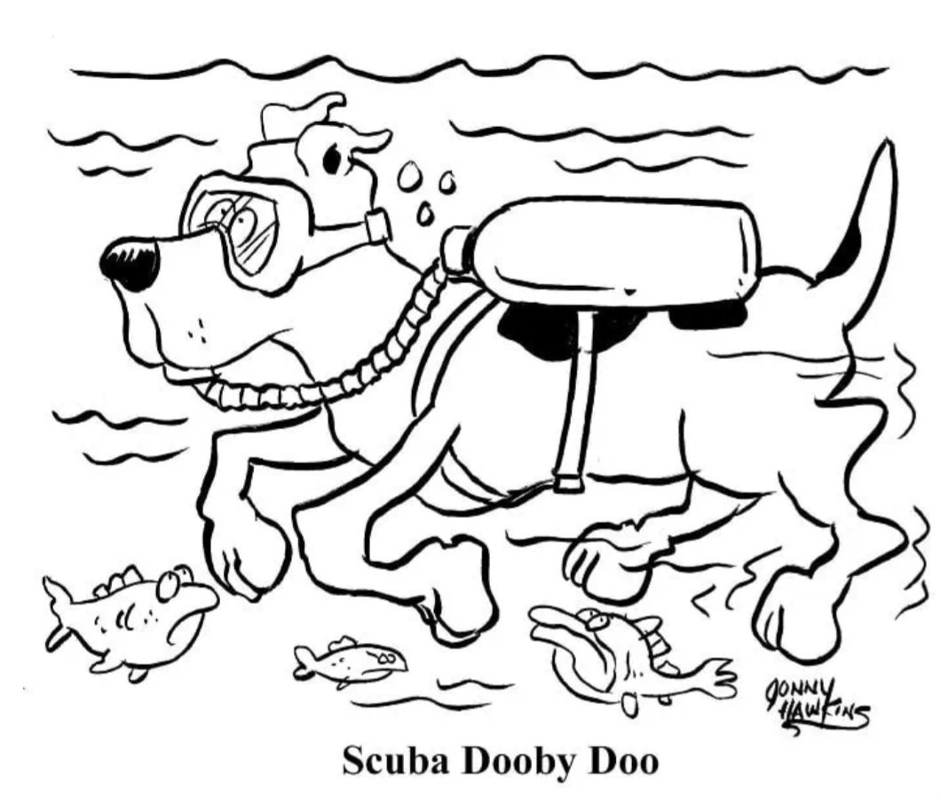 Captain Rob 💙💛🤍 tweet media