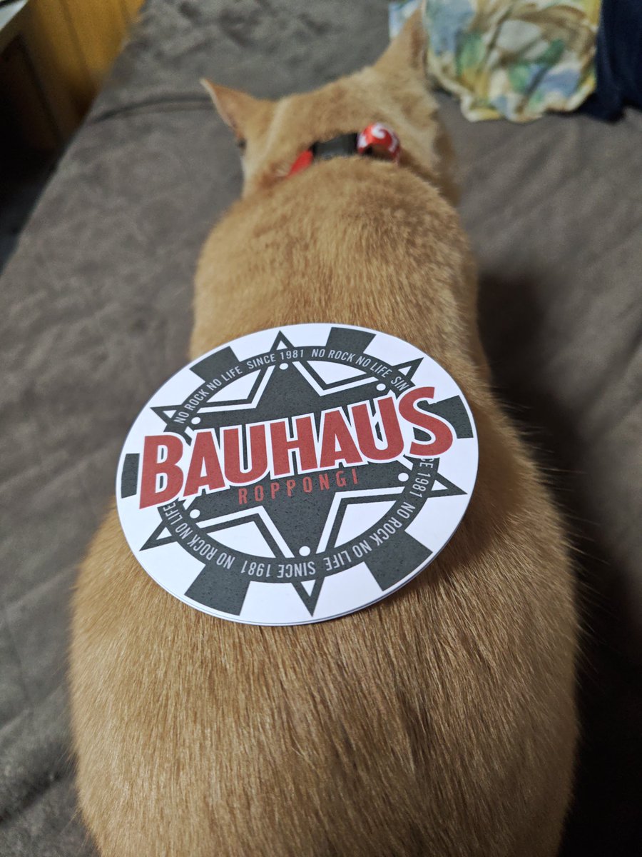 月曜日のちゃっきー（SAKI）のファンクラブイベントで購入した、チェキ😍😍

オタクなので購入するのは当然🤣🤣

#SAKI
#ちゃっきー
#ちゃっきーのプレイルーム
#ファンクラブイベント
#チェキ