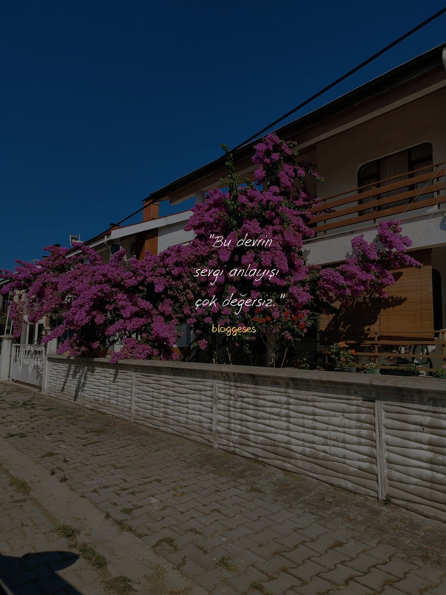 bloggeses's tweet photo. "Bu devrin sevgi anlayışı çok değersiz." 🕊️ https://t.co/dN9QShumUA