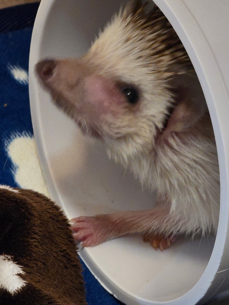 저녁에는 언제나 같은 구도