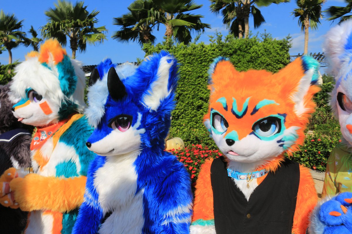 是政　KOREMASA tweet media