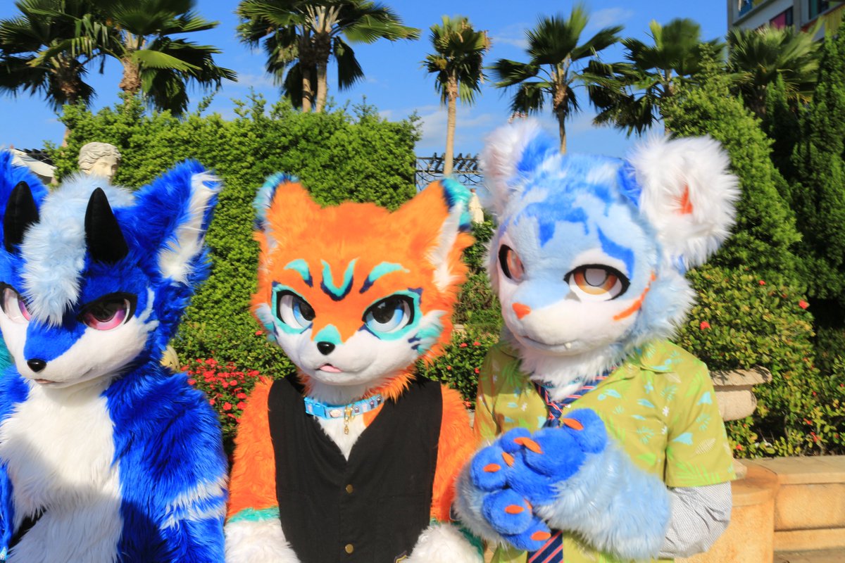 是政　KOREMASA tweet media