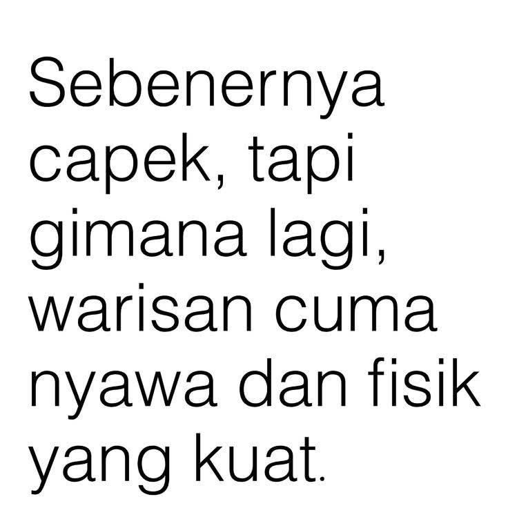 yauda maap tweet media