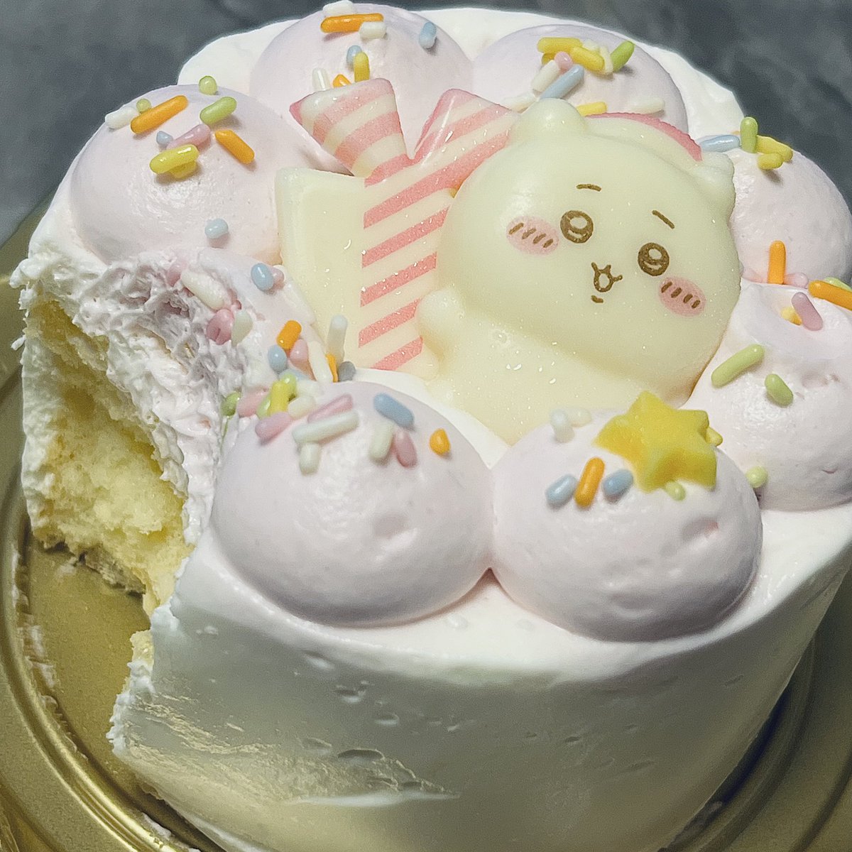 🦴🐕 tweet media