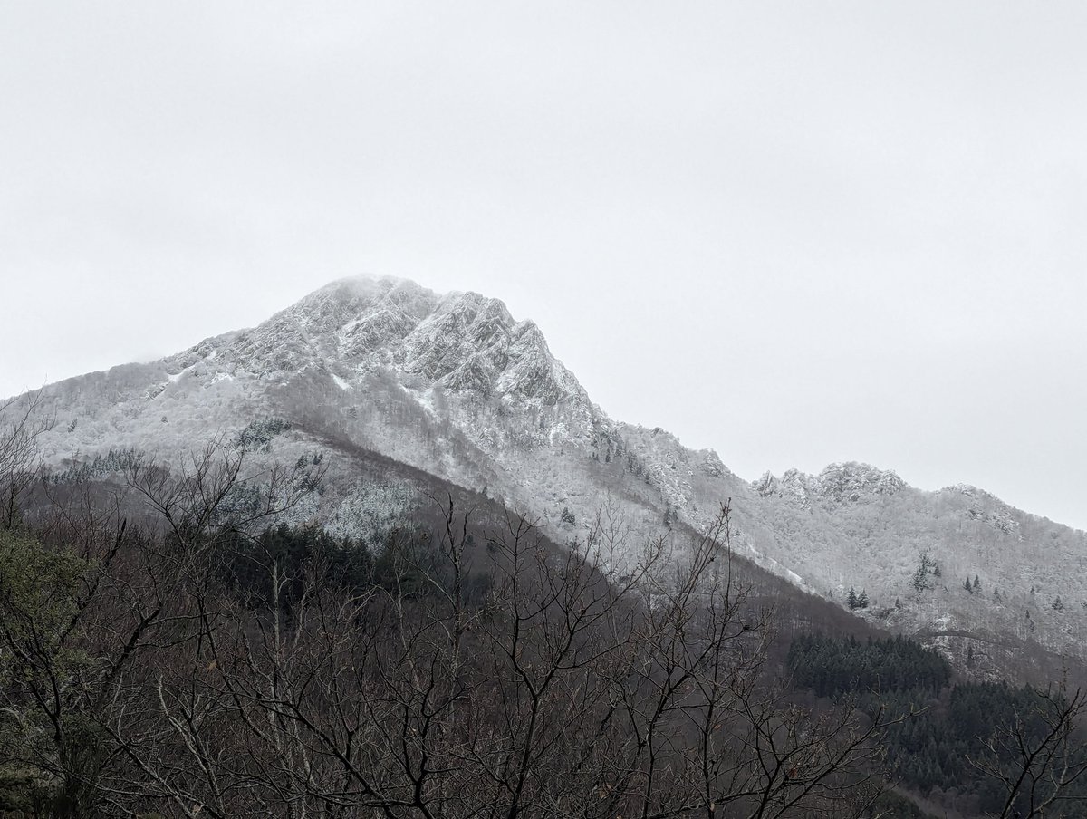 A les portes de #Nadal hi ha hagut una feble nevada que ha enfarinat el massís del #Montseny. S'han acumulat 3-4 cm entorn dels 1.300 metres.  Cota al voltant dels 950-1.000 m. #neu #arbúcies