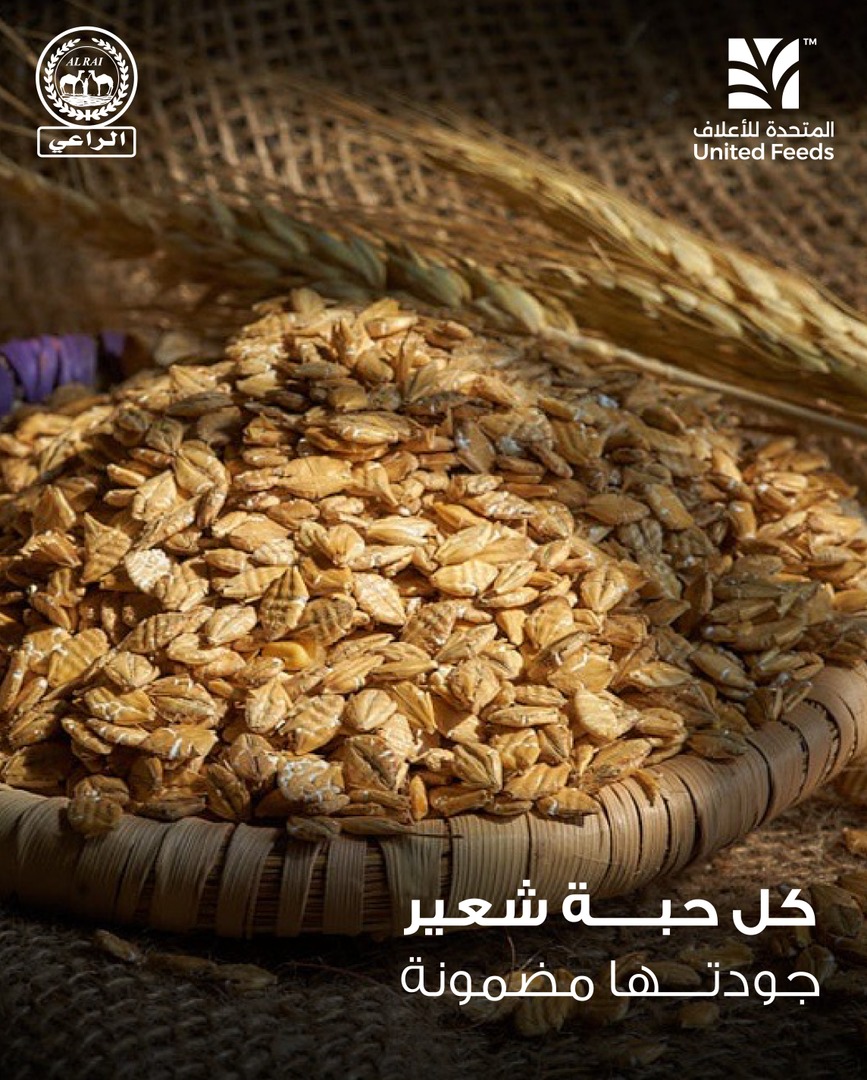 United Feeds | المتحدة للأعلاف tweet media
