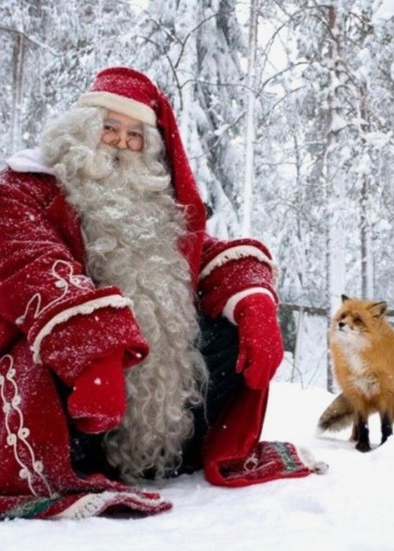 SimonaMascaro64's tweet photo. #AspettandoNatale
– Papà, dove abita babbo natale?
– In una città della Finlandia chiamata Amazon

(postofisso2012, Twitter)

#SalaLettura 
@SalaLettura https://t.co/cElsW4SbZu