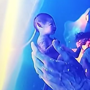 uchoume's tweet image. เนเทยัมอ้วน หรือพริลตัวเล็ก