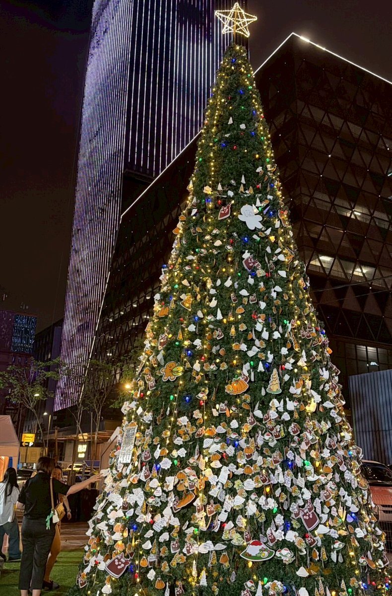 クリスマスイルミネーションがXで輝く冬の風物詩