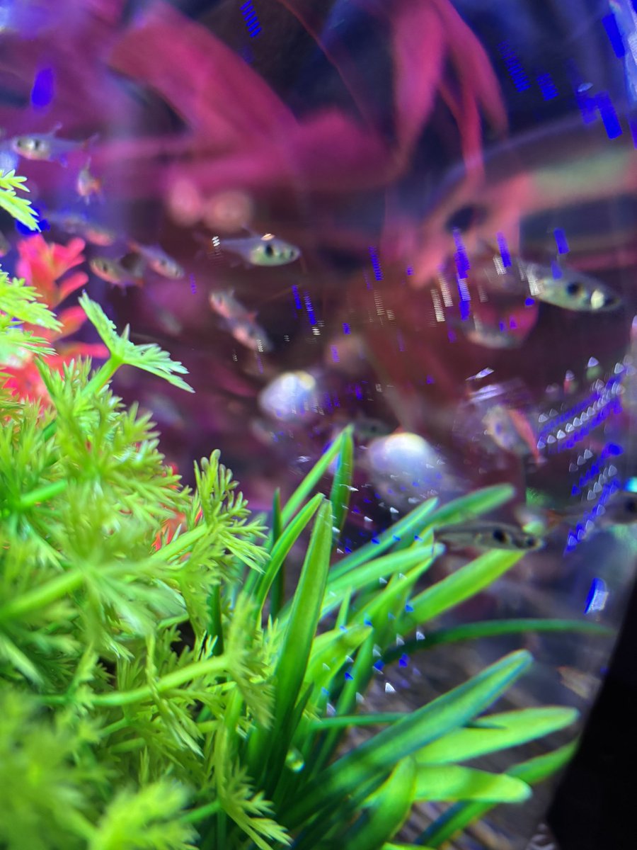 名古屋港水族館　南知多ビーチランド　スピードくじ　特賞　激レア 名古屋港水族館 南知多ビーチランド スピードくじ 特賞 激レア 名古屋