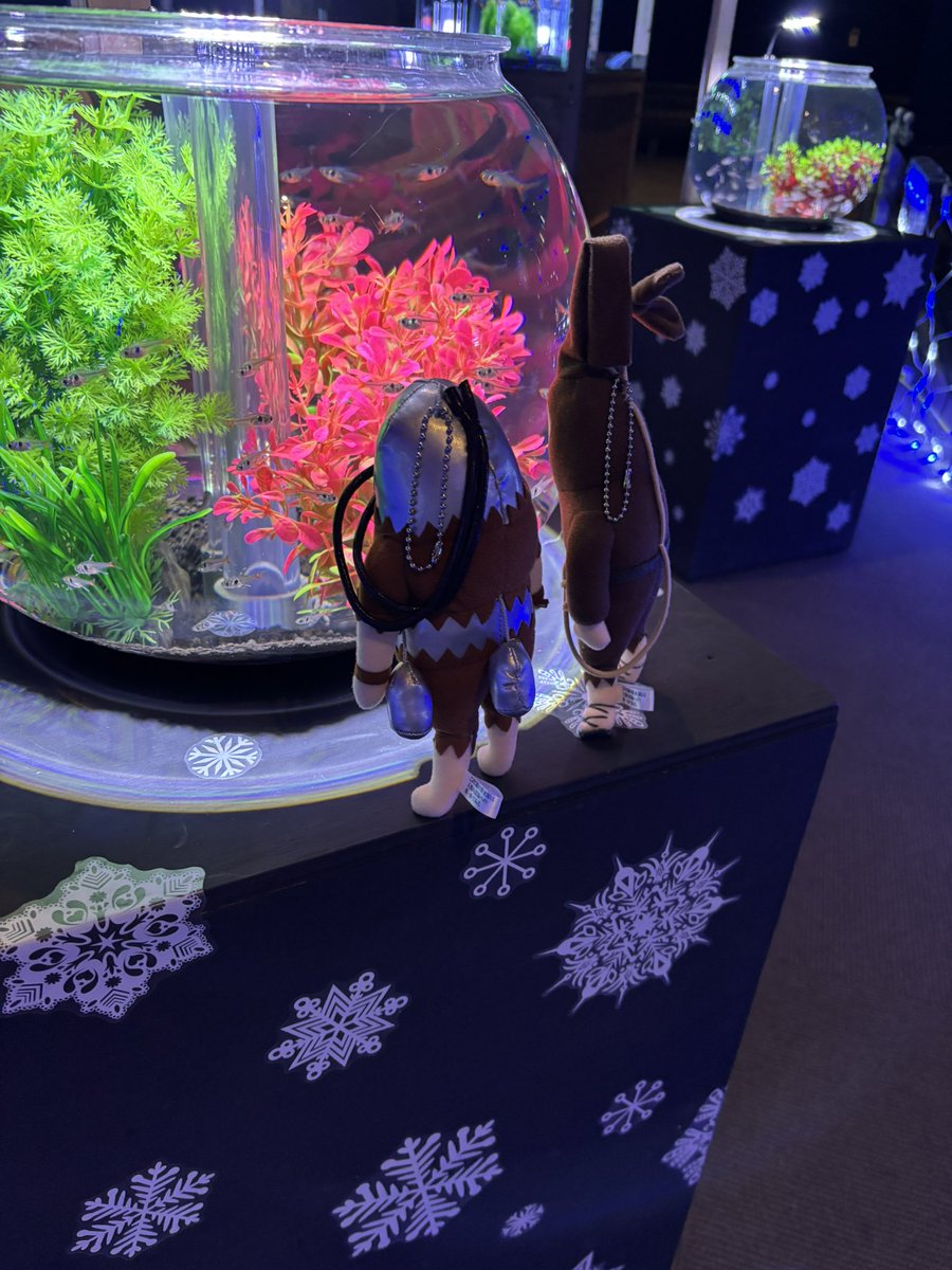 南知多ビーチランドの特別展示「きらめくおさかな展」に行ってきたよ