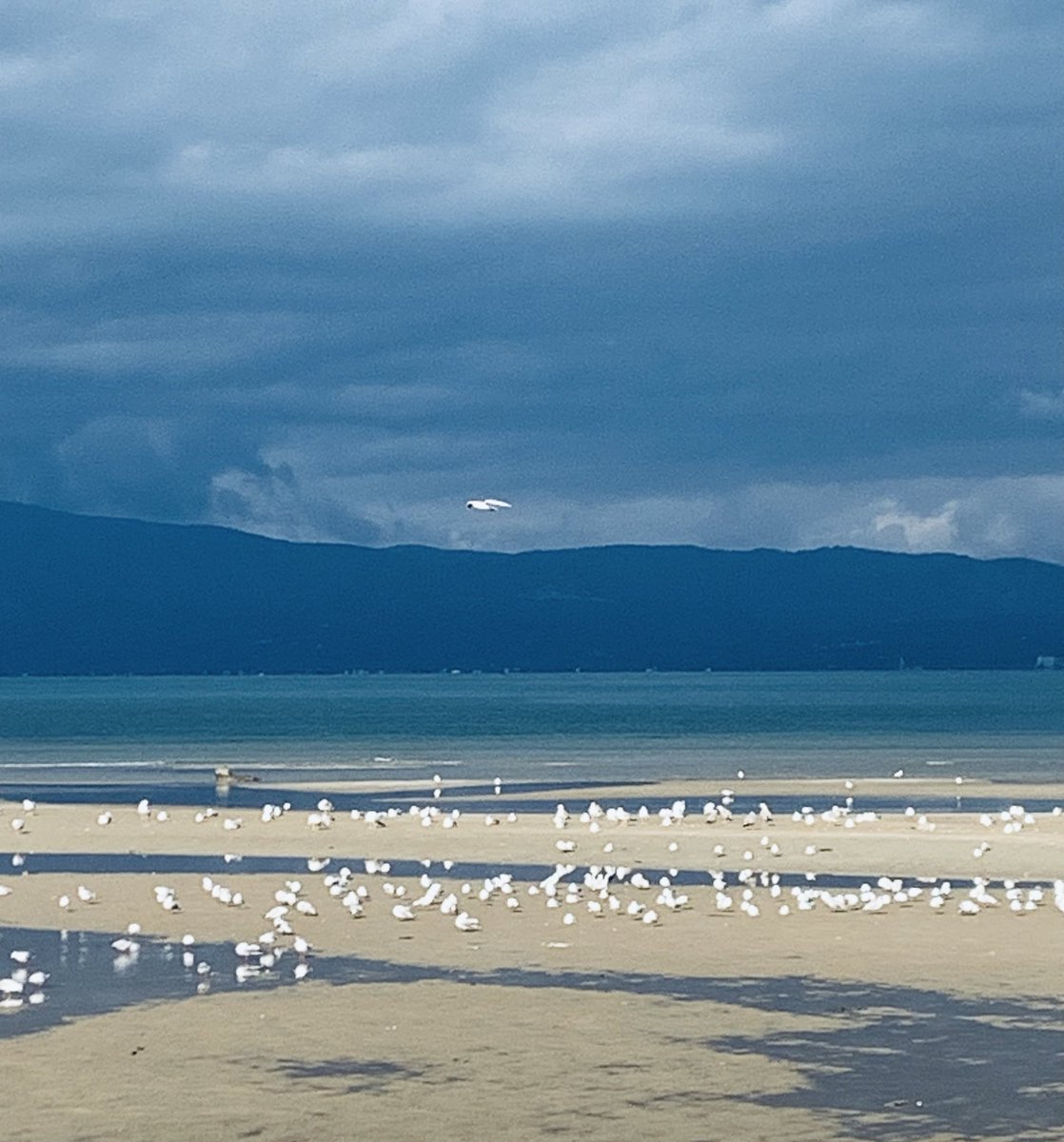 Όταν δεν πειράζει που γίνεται χαμός στον δρόμο και δεν κινείσαι καθόλου για ώρα γιατί μπορείς να βλέπεις αυτό