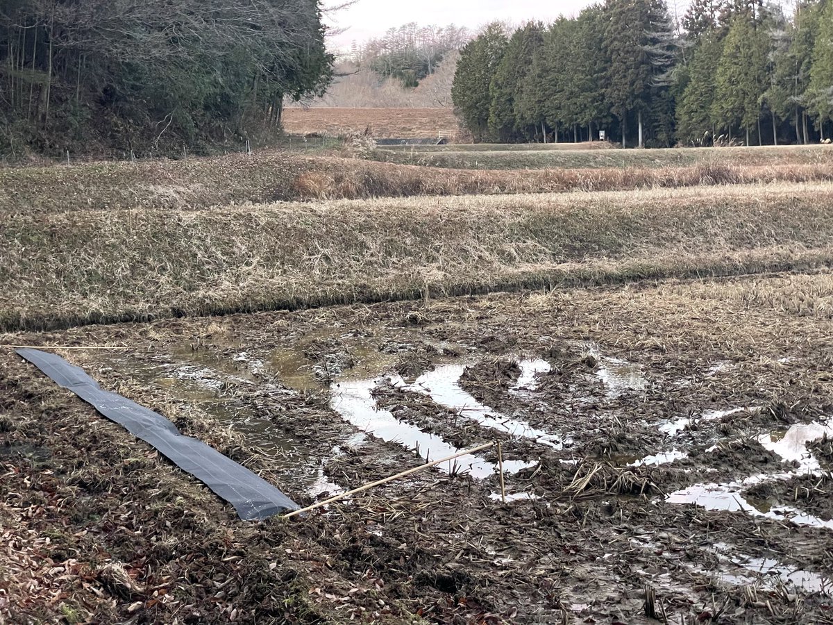 網猟
果たして…？！