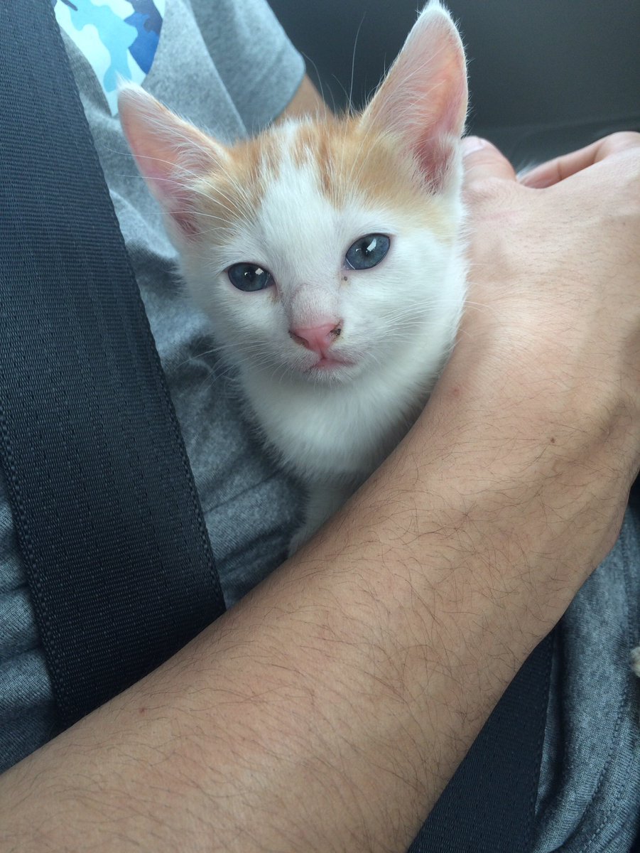 むぎ (@mugi411) / Posts / X