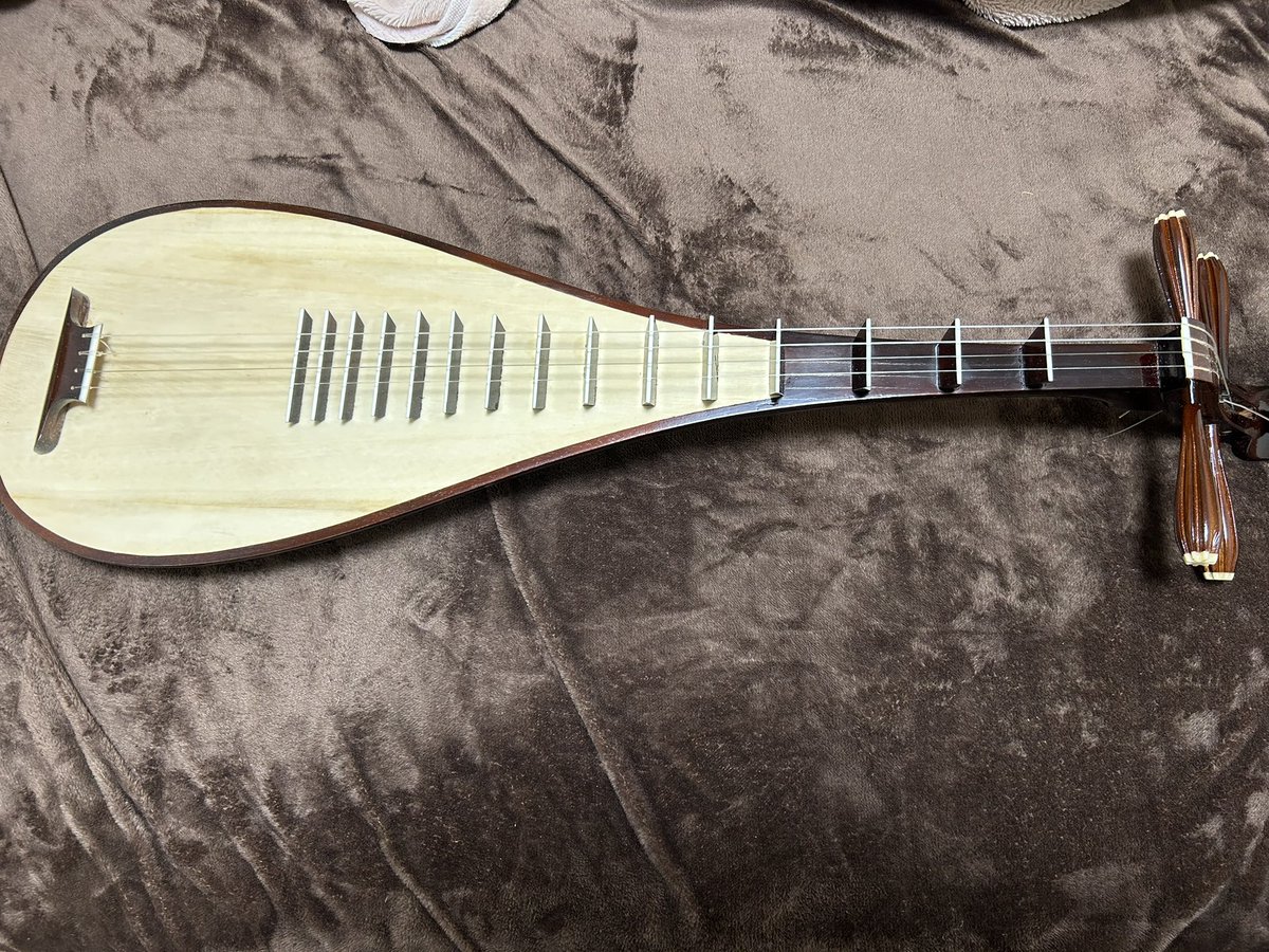 琵琶は本物です！ （こちらはベトナムの琵琶なのでダン・ティバと言い