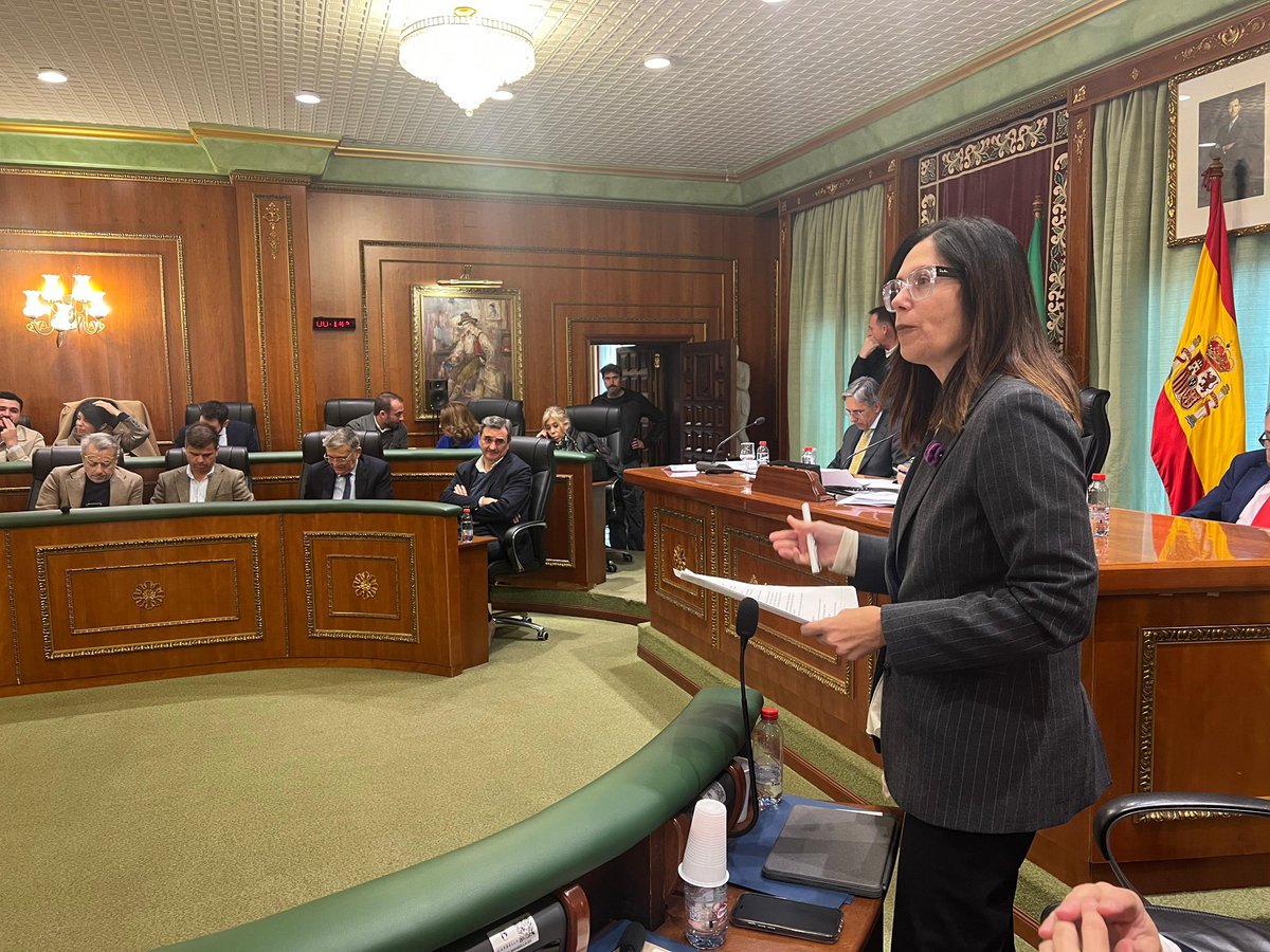 Votamos en contra de unos presupuestos que no responden a las necesidades reales de Marbella y San Pedro, ha señalado <a href="/23IsaPerez/">Isabel Pérez</a> 

Falta de inversión en vivienda, servicios públicos y apoyo social.

No podemos respaldar unas cuentas que no atienden problemas como la vivienda