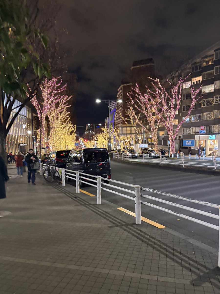 ギュジンちゃんとイルミ巡りしました💕
綺麗だったねギュジンちゃん😼