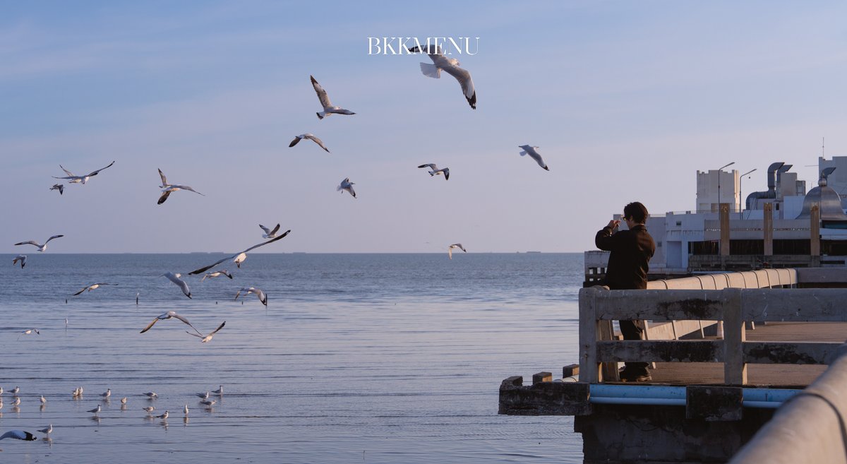 bkkmenu's tweet image. #Cityguide รอบนี้ชวนไป “บางปู” โลเคชันใกล้กรุงไว้เติมพลังใจแบบ Slowday เปลี่ยนบรรยากาศจากตึกสูงเป็นลมทะเลเย็น ๆ ฟ้าสวย ๆ เดินเล่นบนสะพานดูนกนางนวลช่วงปลายปี
.
#BKKMENU #BKKGUIDES #Bangpu #บางปู #OneDayTrip