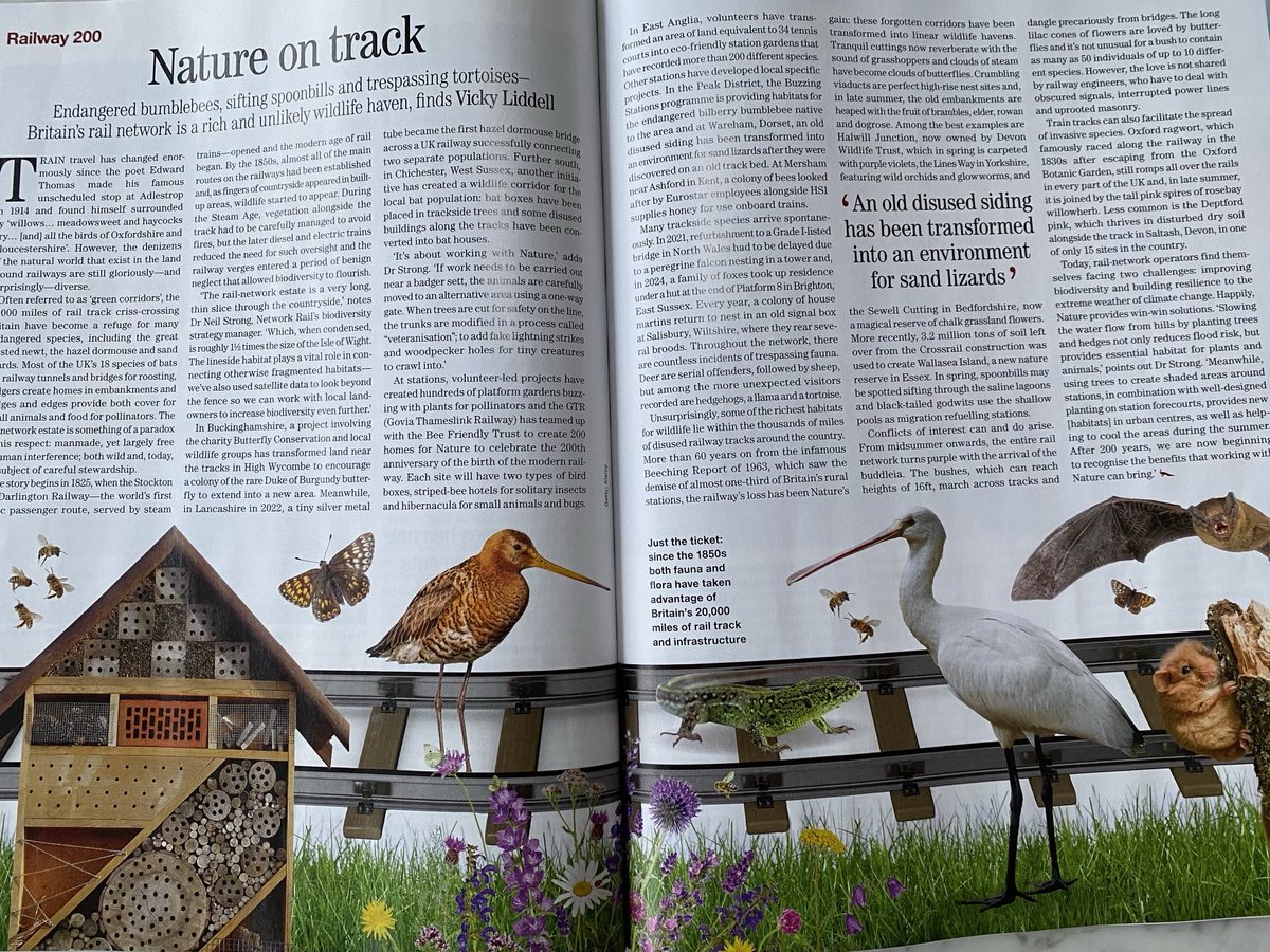 A celebration of the railway in this week’s ⁦<a href="/Countrylifemag/">Country Life</a>⁩ ⁦<a href="/networkrail/">Network Rail</a>⁩ #Railway200 #countrylifemagazine #naturebytherailway #countrylife