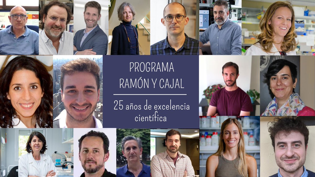 Centro de Neurociencias Cajal - CSIC tweet media