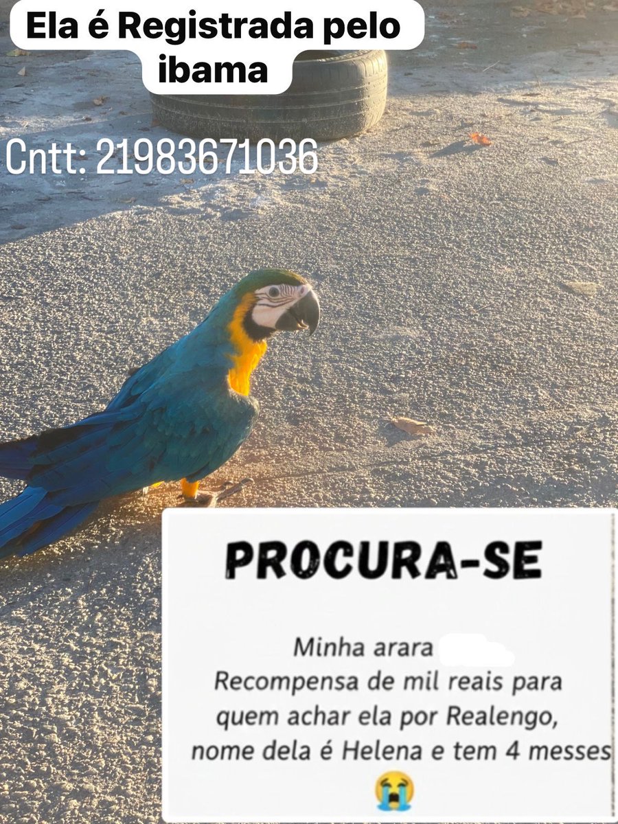 _FdN7's tweet photo. Compartilha aí tropaaa😭🫶🏻 https://t.co/fmVoo4xhB8