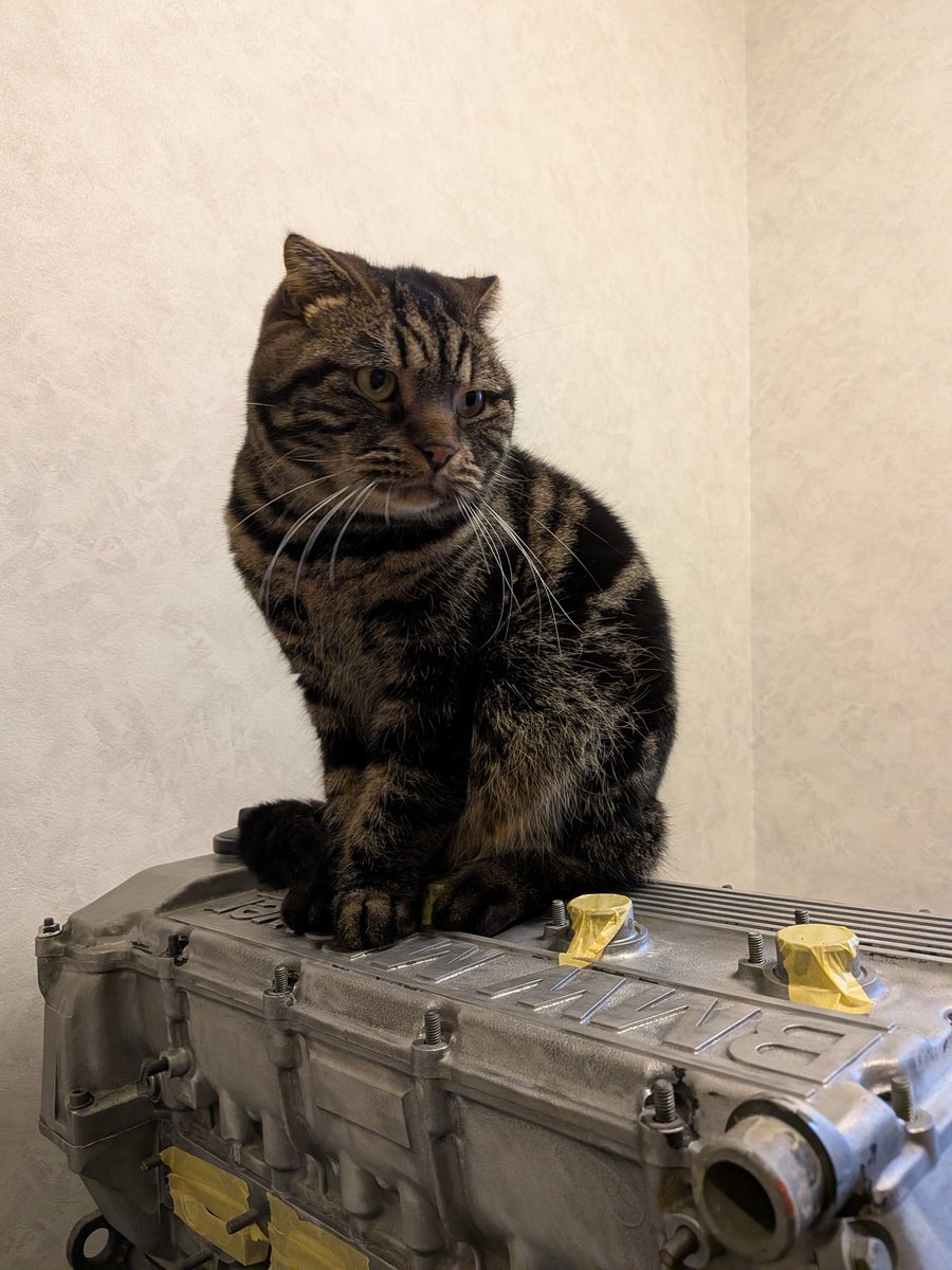 とよちゃんガレージ (@toyochan_garage) / Posts / X