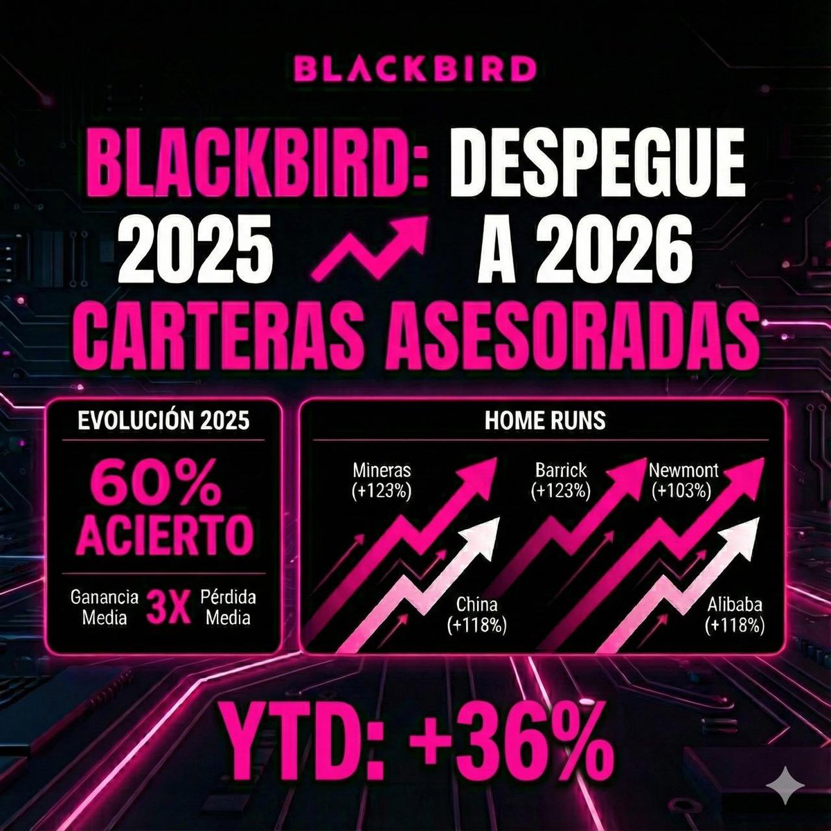 Gisela Turazzini tweet media