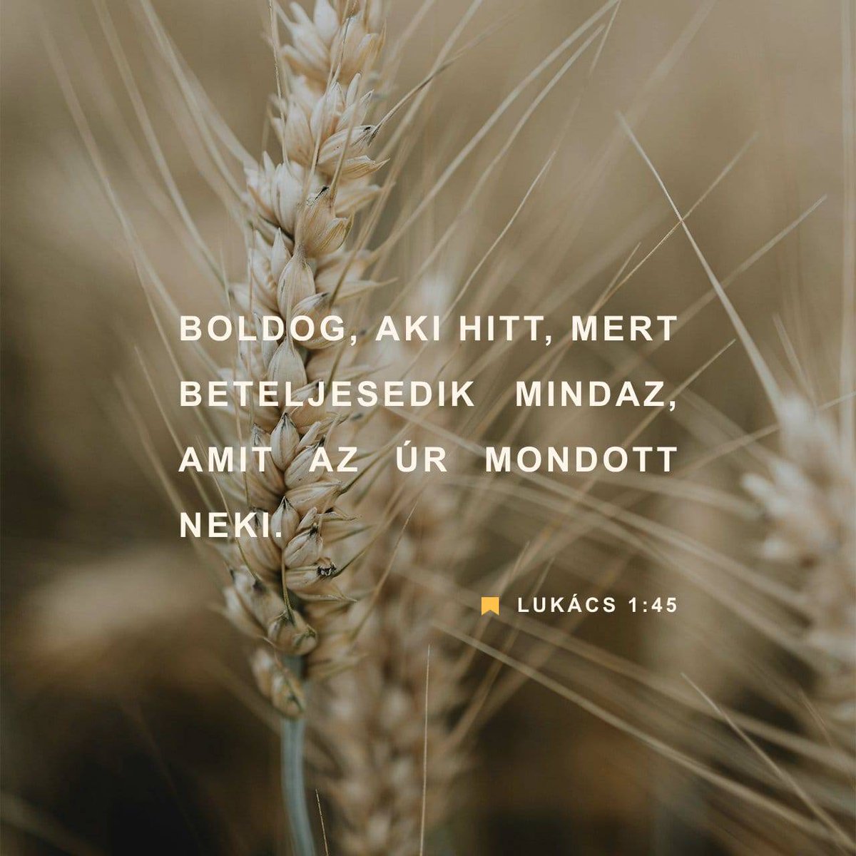 FelsoKitti's tweet photo. 2025. 12. 20. - Napi igevers https://t.co/zWyCVmkXn1