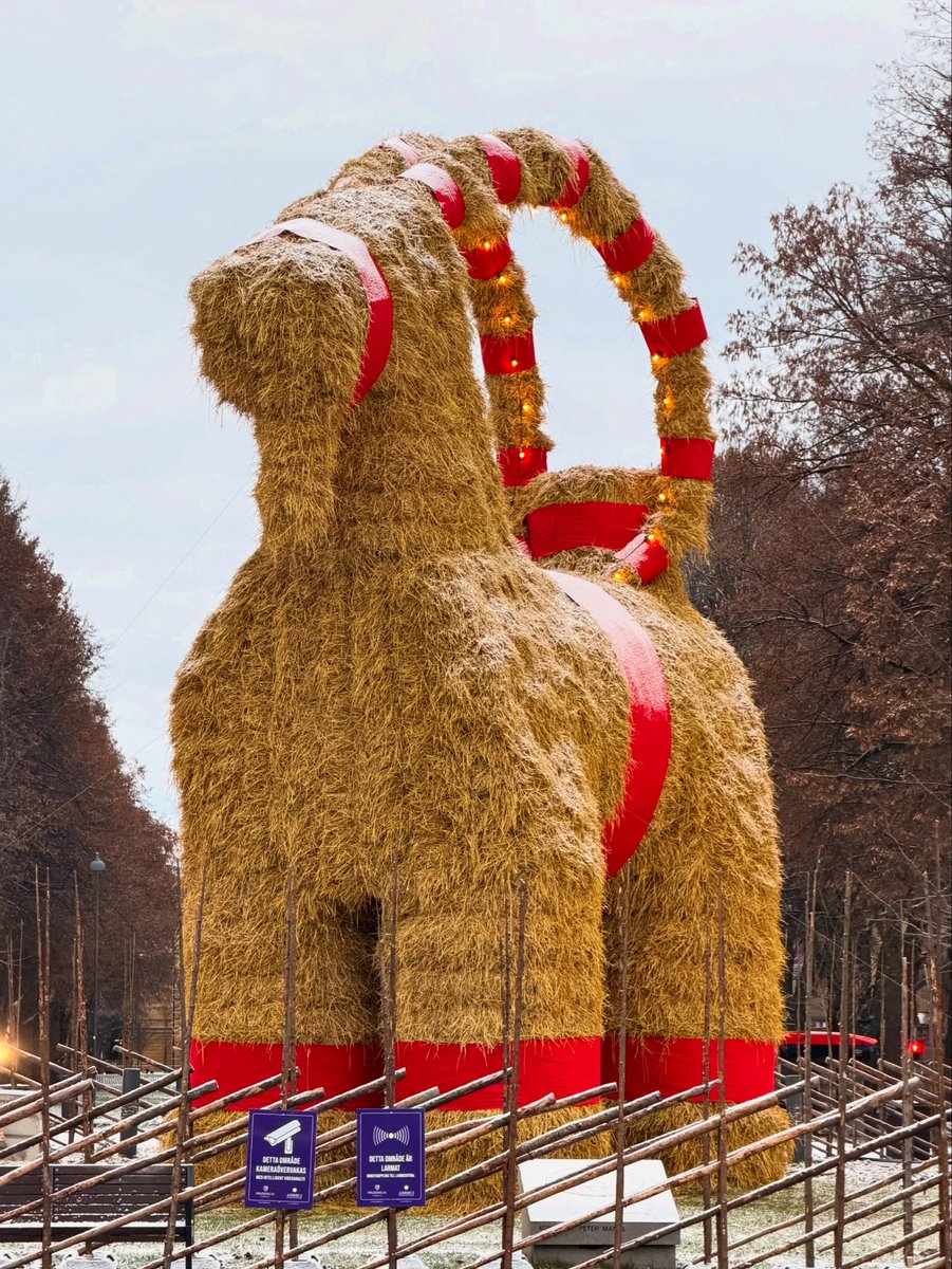 Dan före dopparedan och ett tunt snötäcke har kommit! ✨❄️

One day until Christmas Eve, and the snow is here! ✨❄️