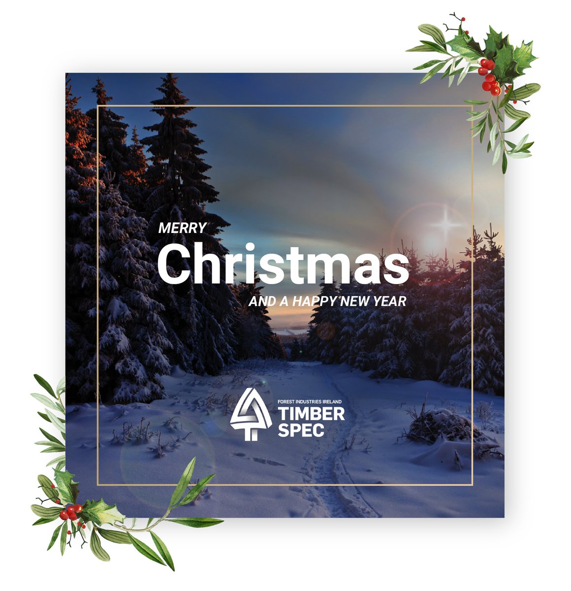 Happy Christmas from the TimberSpec team! Wishing you and your families a very happy Christmas and all the best for the year ahead.