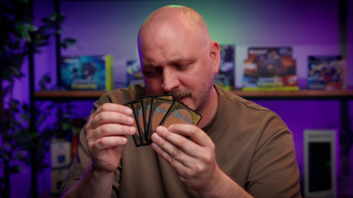 Bandit 🏴‍☠️ tweet media