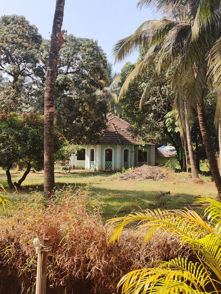 Junisha Dama tweet media