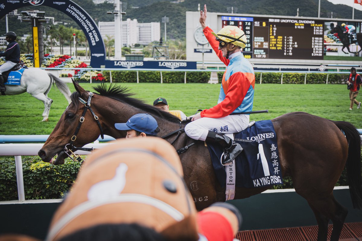 ファインダー覗いてたらいきなり大きいカーインライジングのぬいぐるみ