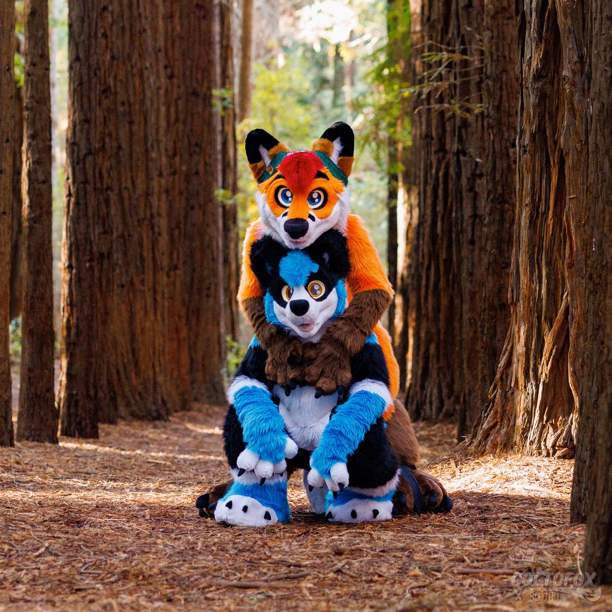 coltofox's tweet image. Happy Birthday @_ShadowRK9! 🥳🎉🎂

📷 @Blurbbub &amp;amp; me