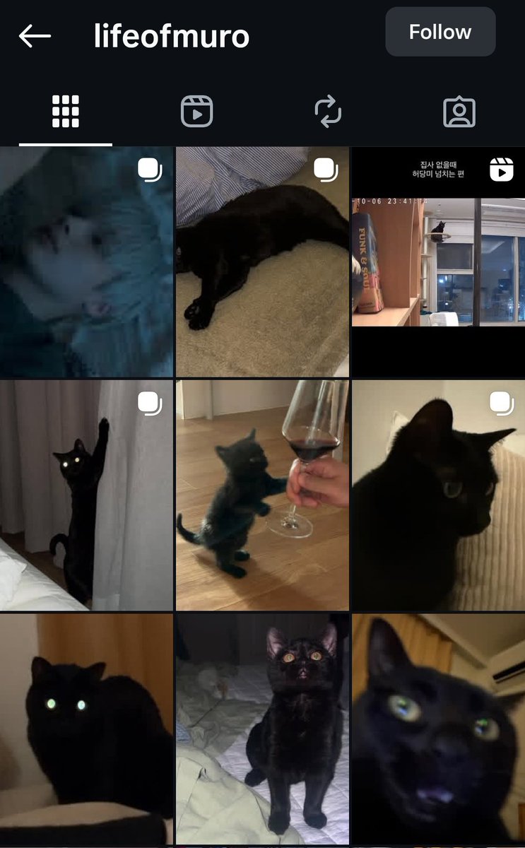 the black cat that hueningkai filmed with for his cover song has an instagram acc so cute 🐈‍⬛