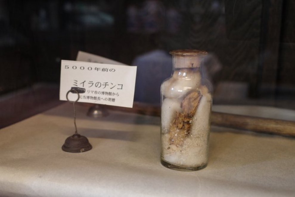 奈良の博物館で公開中の5000年前ミイラ男性器が話題