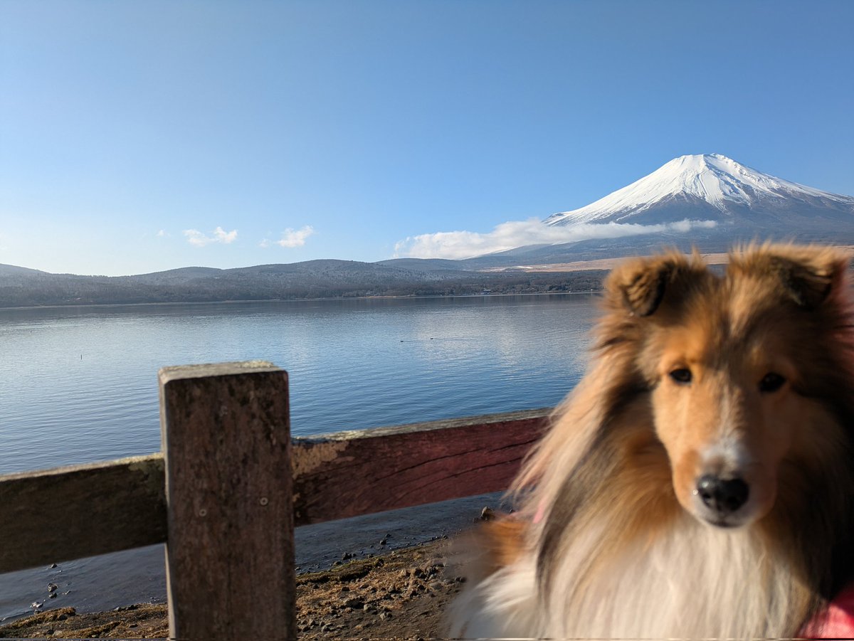 loverymarin's tweet photo. 今日の富士山🗻あっぱれ🌞 https://t.co/dEqPkU0J2n