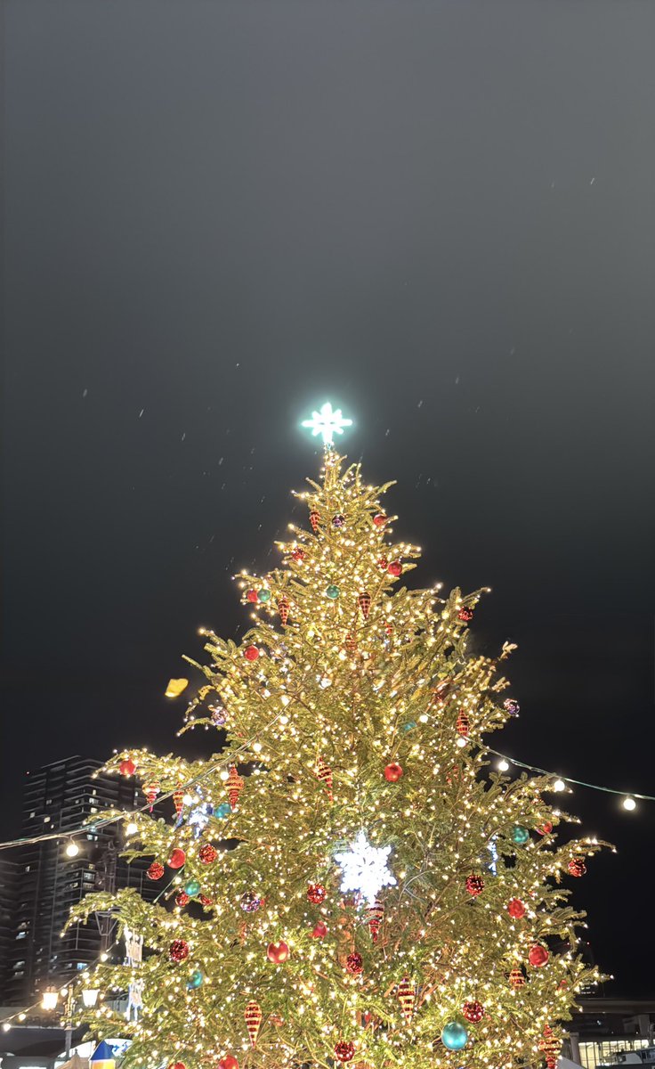 松ぼっくりと人 松ぼっくりがあったとさ〜🌳（さくら） - 社会福祉法人 将友会