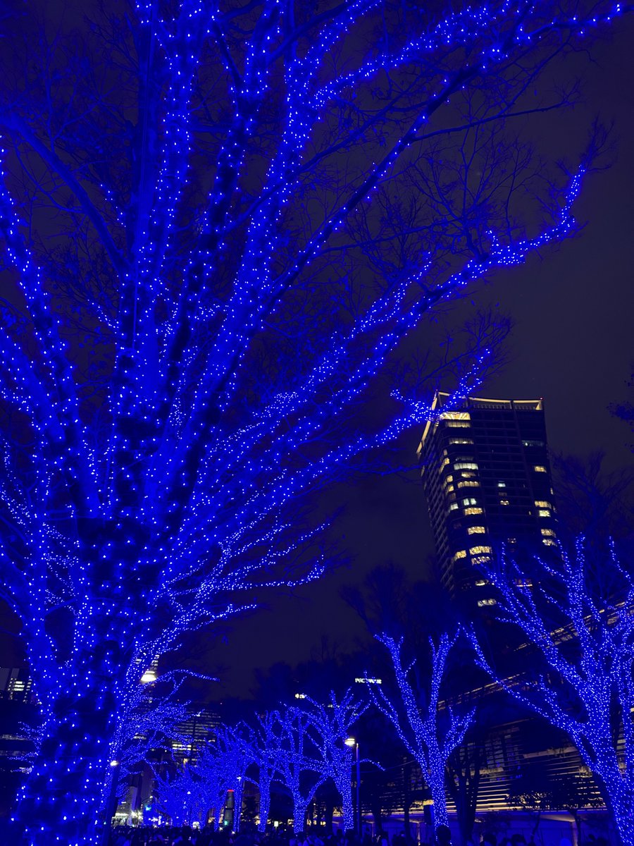 凪🕊️ (@kirara_esrnmr) / Posts / X