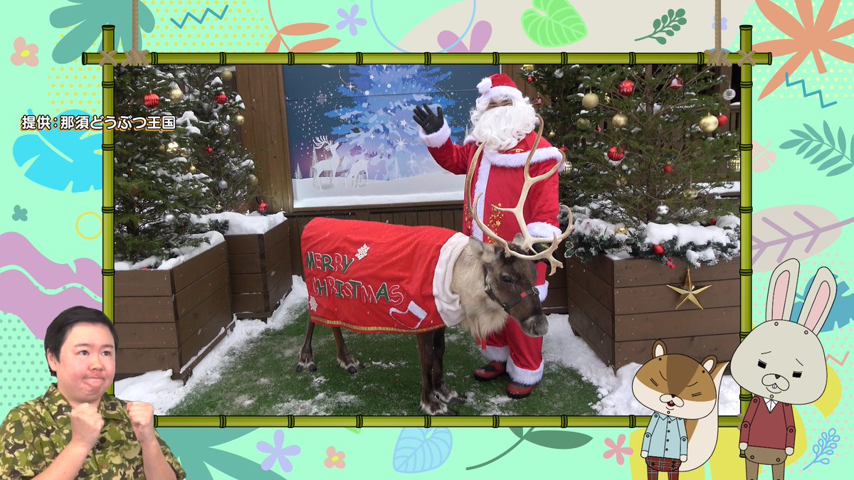 めざましテレビ (@cx_mezamashi) / Posts / X