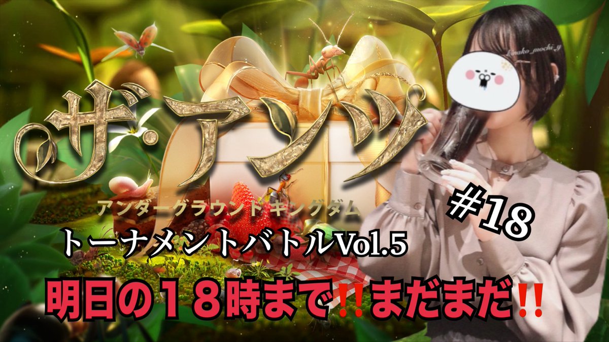 【きなこもち様 オーダー専用ページ】 きなこもち様専用 きなこもちさま 専用オーダーページ オーダーページ