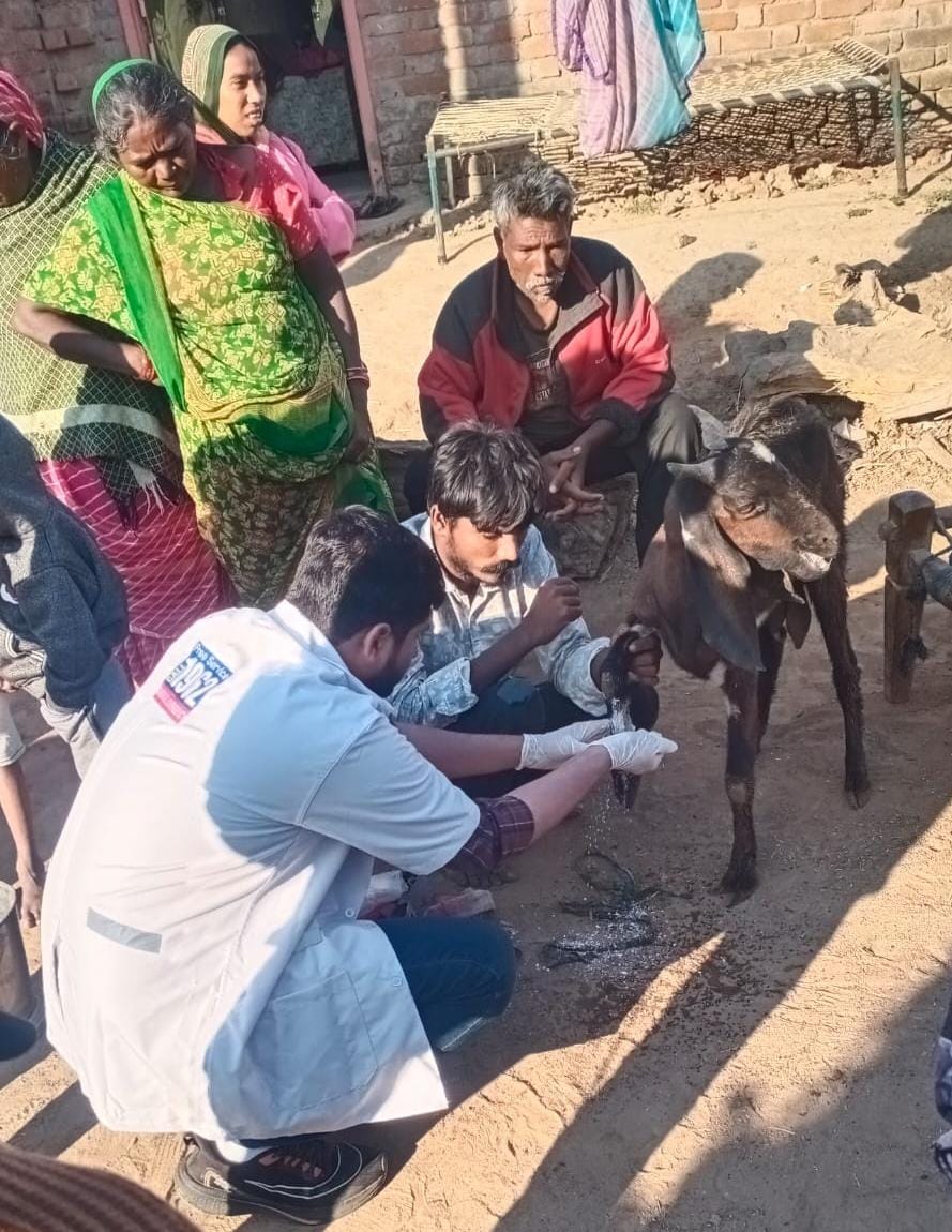 InfoAnandGoG's tweet image. ખંભાત તાલુકાના છેવાડાના ગામ દેહડામાં 1962 ફરતા પશુ દવાખાનાની સમયસર ઇમરજન્સી સેવા દ્વારા ઘાયલ બકરીને તાત્કાલિક સારવાર આપવામાં આવી. 

#ફરતાપશુદવાખાનું #AnimalCare #VeterinaryService #AnandDistrict #Khambhat 
@CMOGuj  
@InfoGujarat 
@DDO_Anand 
@MyAnandMyANMC  
@CollectorAnd