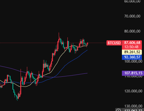 cestercrypto's tweet image. $BTC looks good.. 🩸