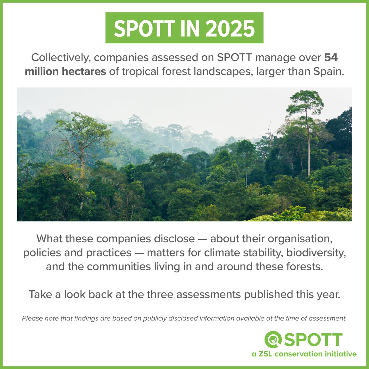 ZSL SPOTT tweet media