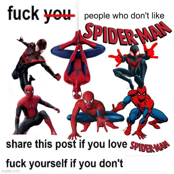 SpiderManVibe's tweet image. 