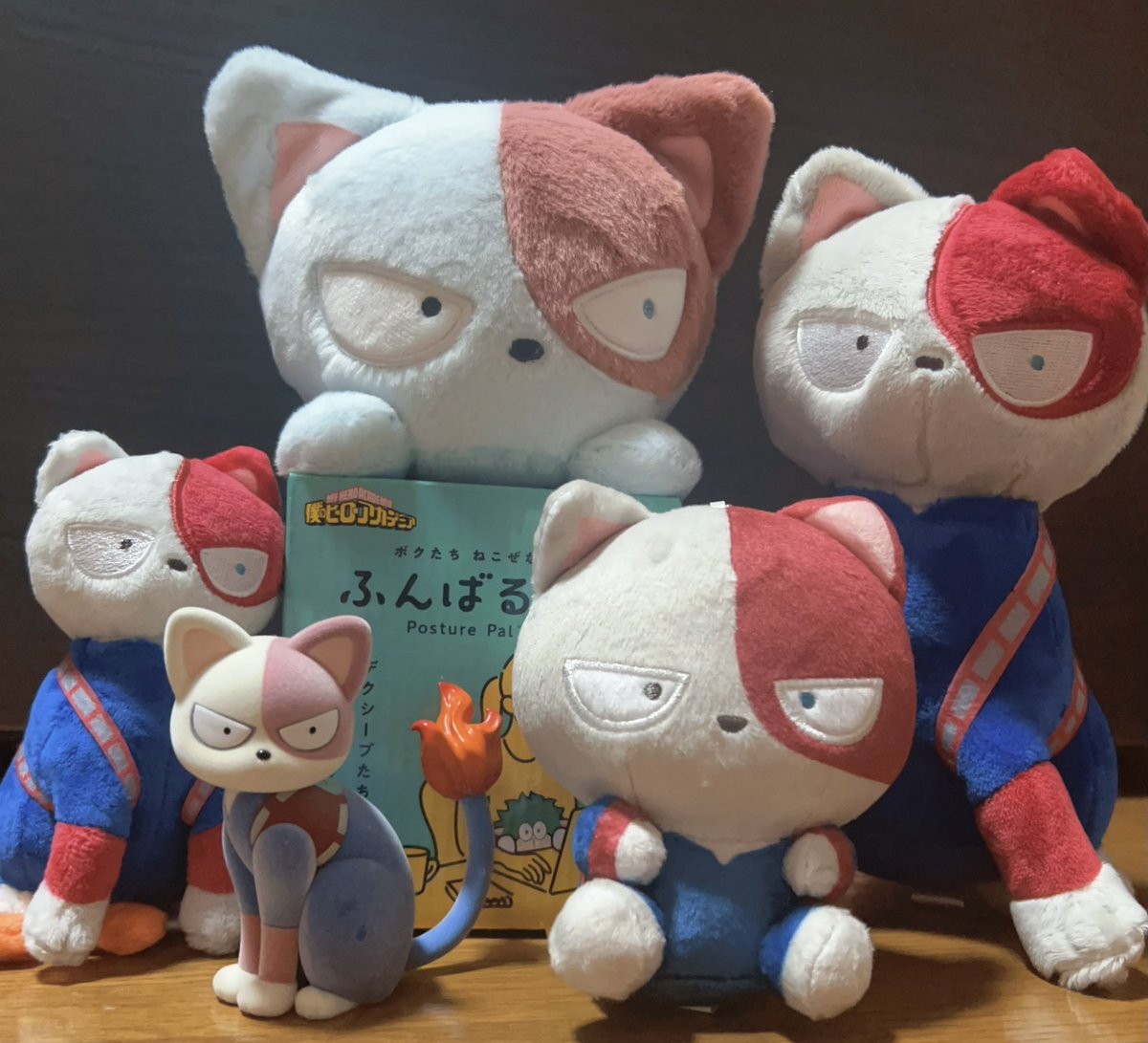 先輩ニャンコと新入りニャンコ🐈